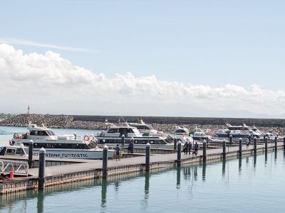 Rekomendasi Hotel Dekat Pelabuhan Sanur: Panduan Island Hopping di Bali