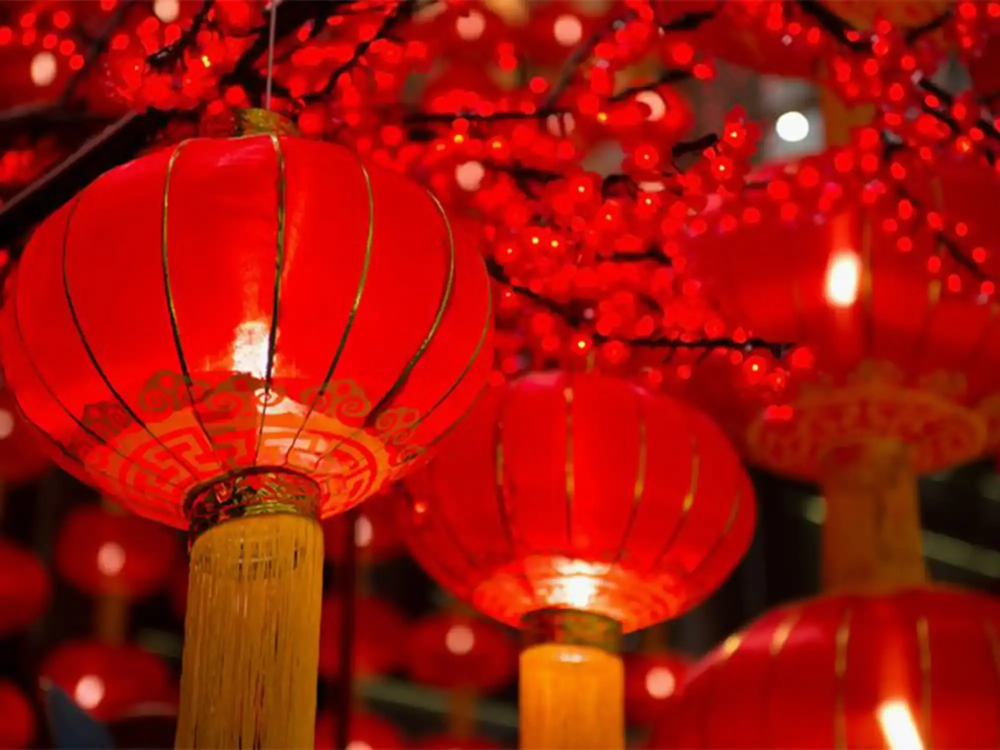 Celebrate Lunar New Year at Prime Plaza Hotel Sanur with Exclusive Stay Promotions